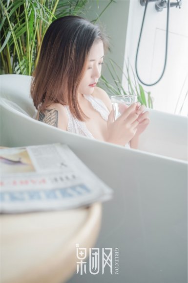 信长之野望:大志威力加强版官网上线 公布部分情报:雨燕(图1) 雨燕直播免费观看